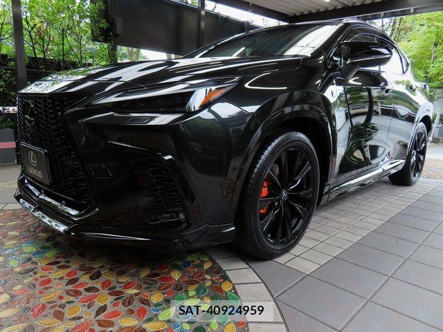 Lexus NX 2025-02 8871361-10