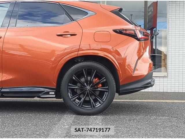Lexus NX 2023-06 8880545-9