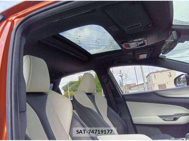 Lexus NX 2023-06 8880545-20