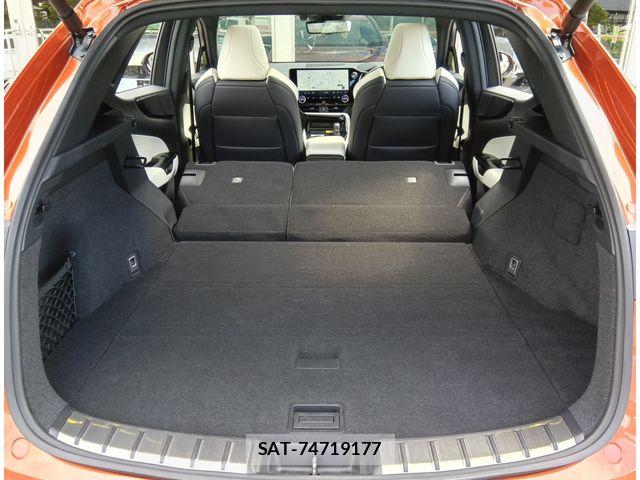Lexus NX 2023-06 8880545-23