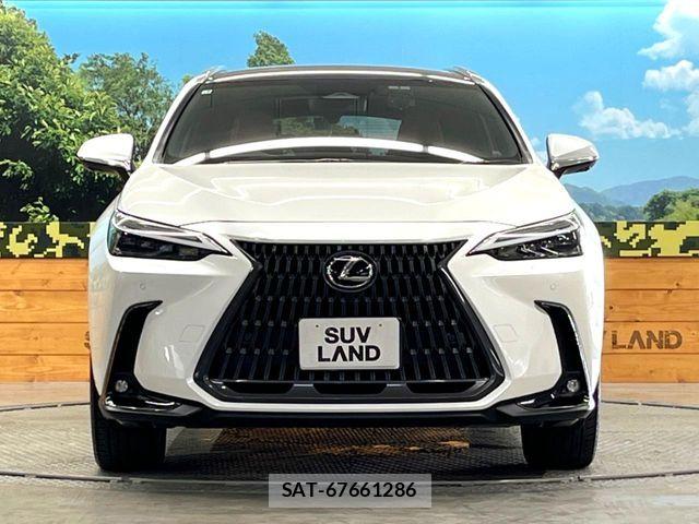 Lexus NX 2025-04 8883857-13