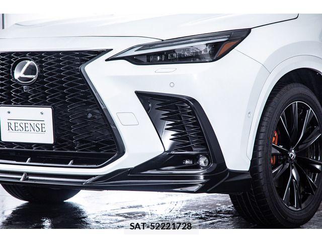 Lexus NX 2023-06 6499528-18