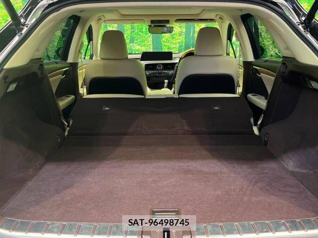 Lexus RX 2017-08 851349-10