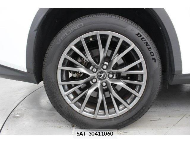 Lexus RX 2017-03 3674882-28