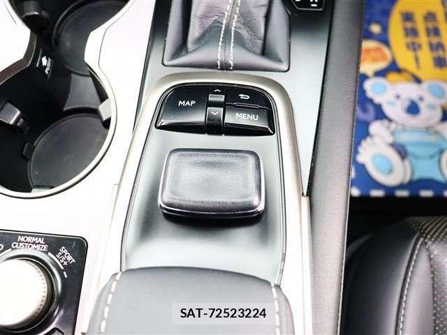 Lexus RX 2017-05 4964913-14