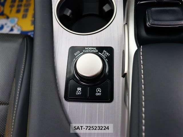 Lexus RX 2017-05 4964913-16