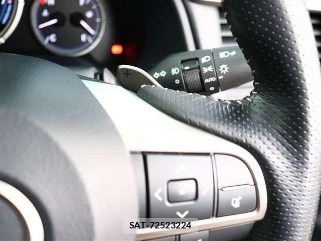 Lexus RX 2017-05 4964913-26
