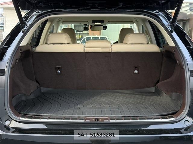 Lexus RX 2016-04 6011854-15