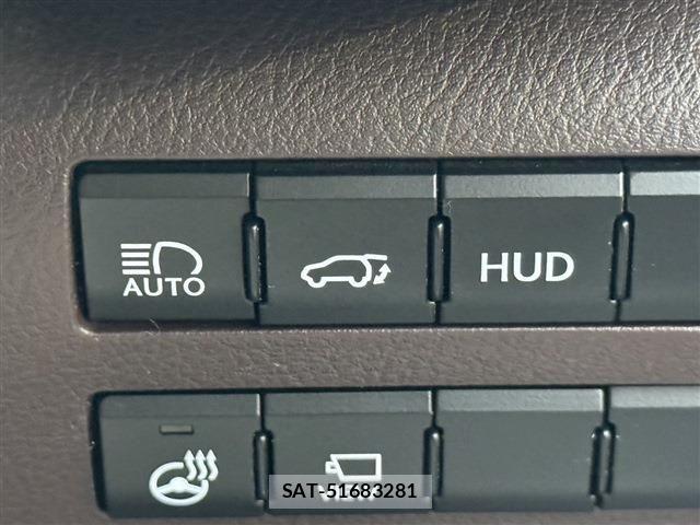 Lexus RX 2016-04 6011854-5
