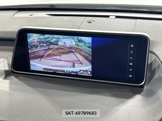 Lexus RX 2017-03 6676713-3
