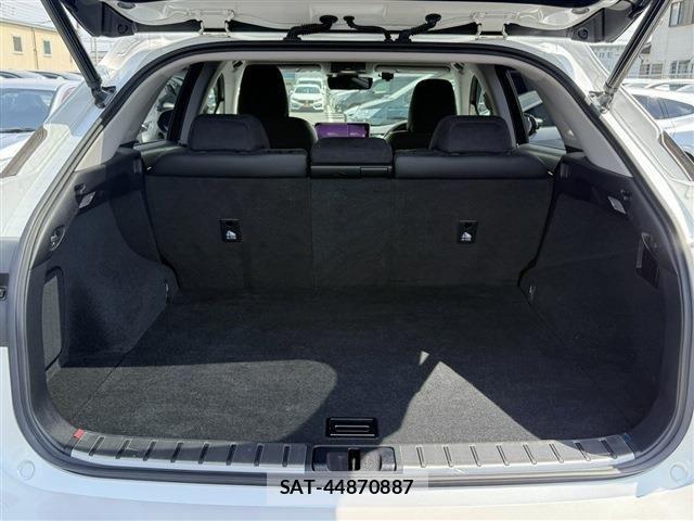 Lexus RX 2017-11 6676715-10