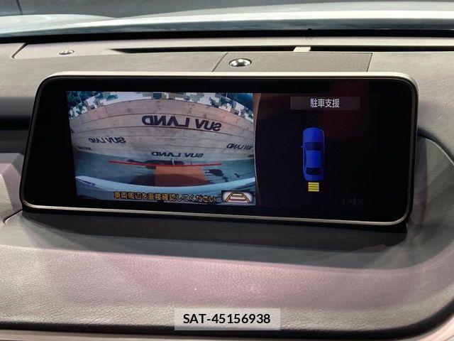 Lexus RX 2016-11 6995234-3