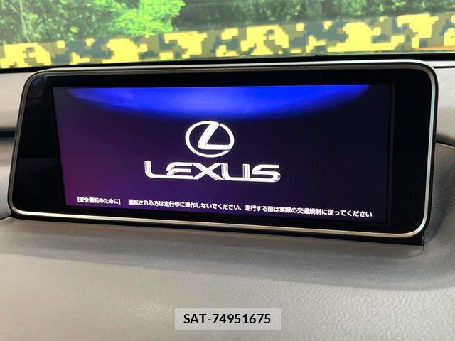 Lexus RX 2017-03 7059309-3