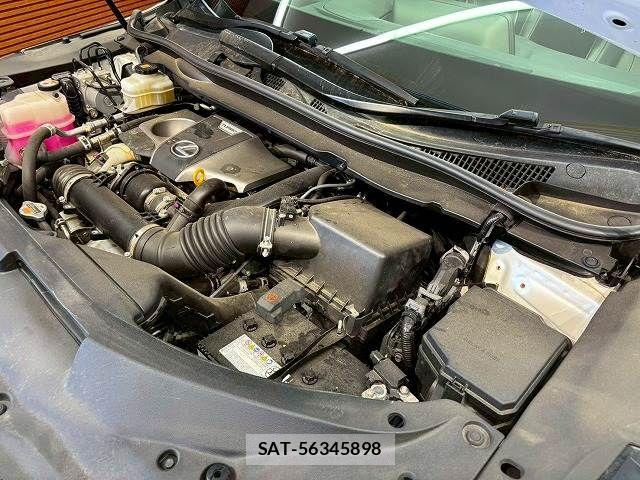 Lexus RX 2017-06 7251357-13
