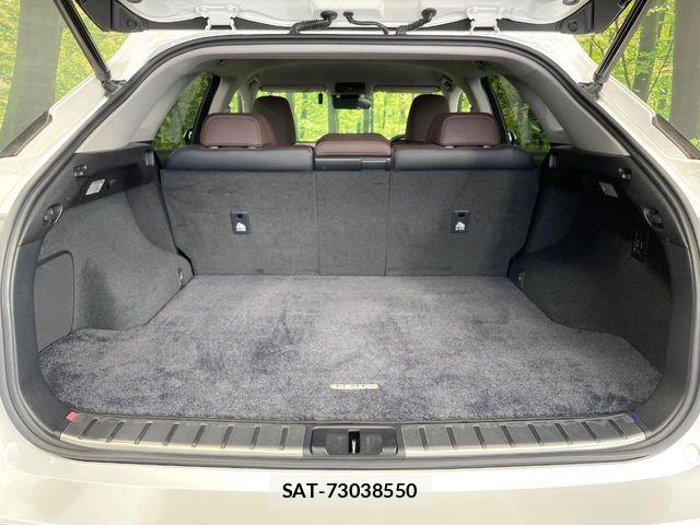 Lexus RX 2017-08 7328080-9