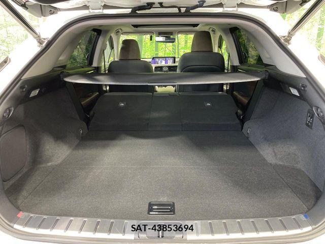 Lexus RX 2017-06 7358547-9
