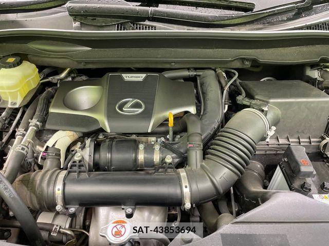 Lexus RX 2017-06 7358547-17