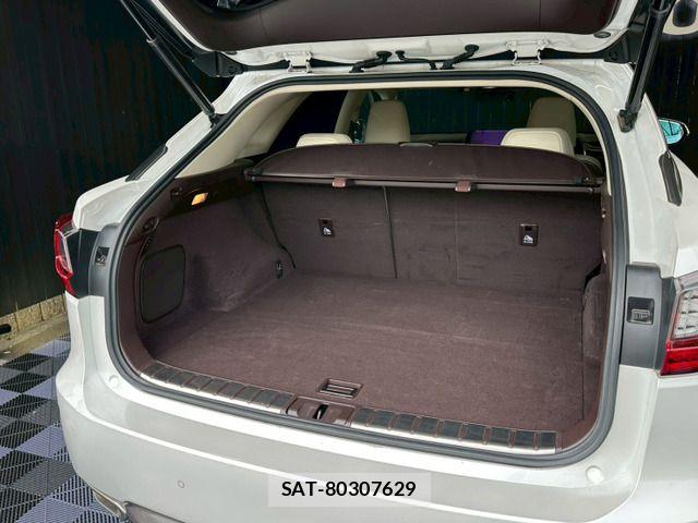 Lexus RX 2015-11 7617720-15