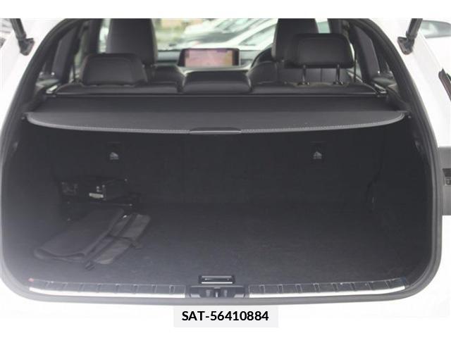 Lexus RX 2017-04 7725179-17