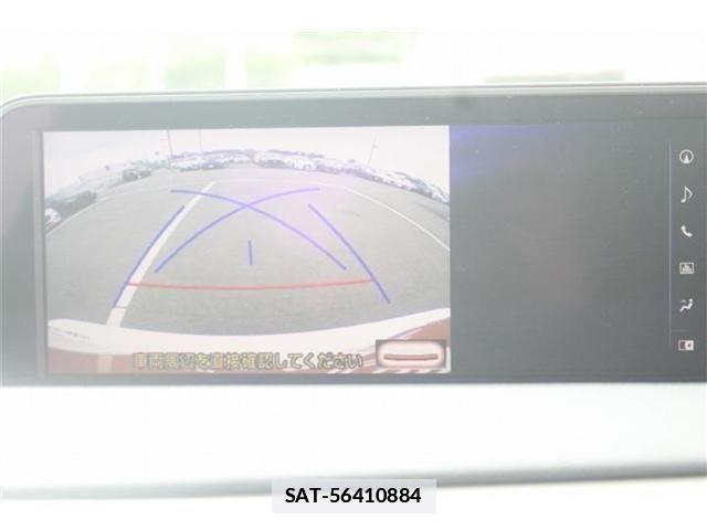 Lexus RX 2017-04 7725179-4