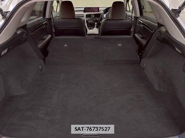 Lexus RX 2016-06 7725177-19