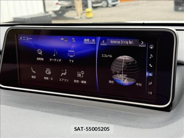 Lexus RX 2015-10 7902873-11