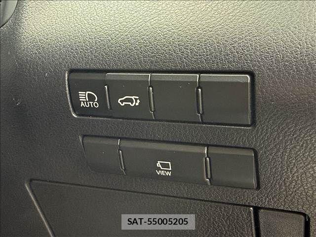 Lexus RX 2015-10 7902873-3