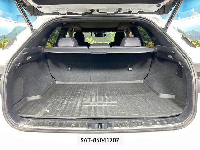 Lexus RX 2017-04 8100189-9