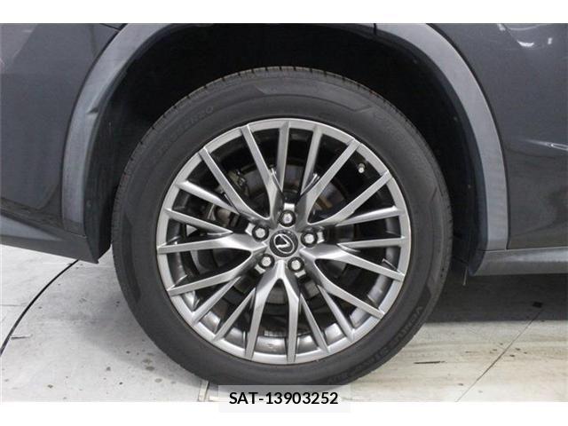 Lexus RX 2017-11 8208452-25
