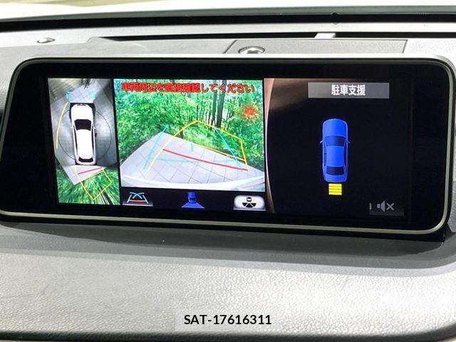 Lexus RX 2016-11 8230636-4