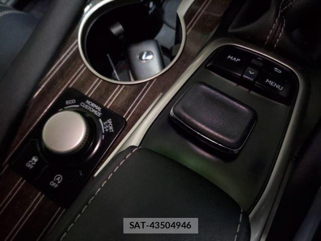 Lexus RX 2017-08 8315218-16