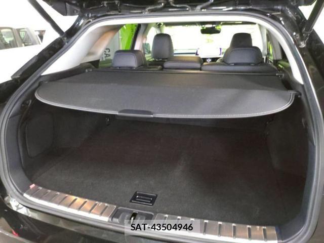 Lexus RX 2017-08 8315218-24