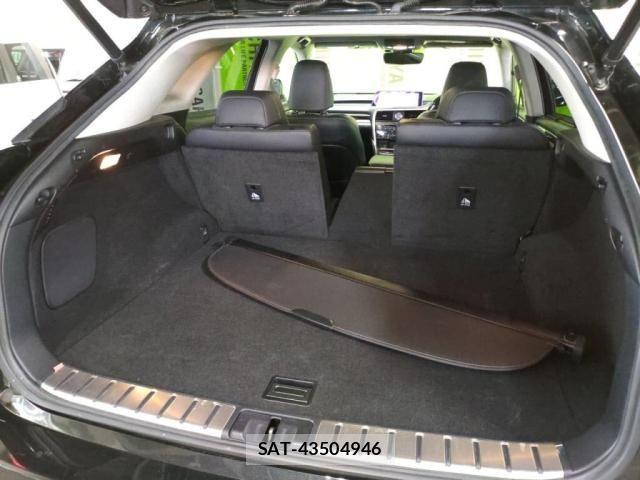 Lexus RX 2017-08 8315218-25