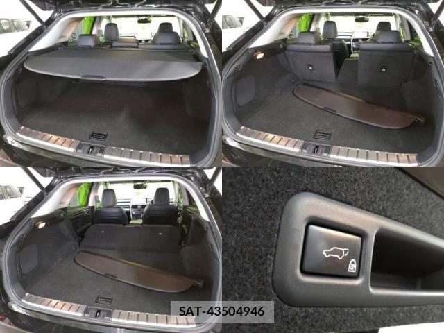 Lexus RX 2017-08 8315218-7