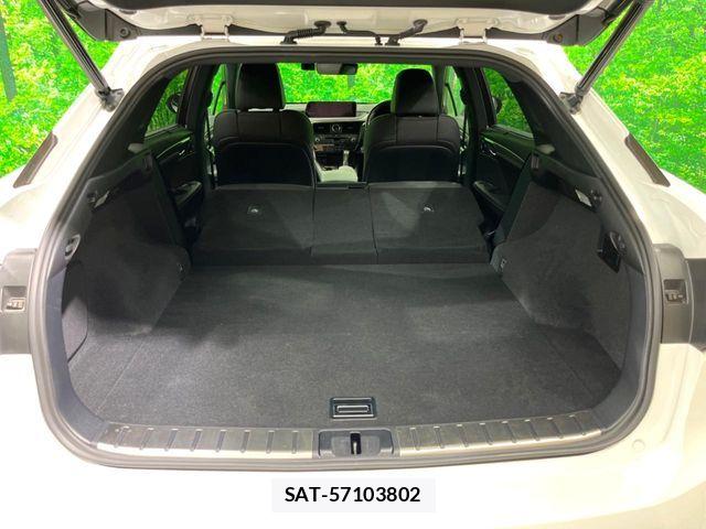 Lexus RX 2017-03 8336593-11