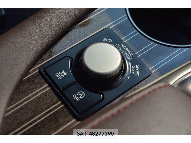 Lexus RX 2017-07 8354863-13