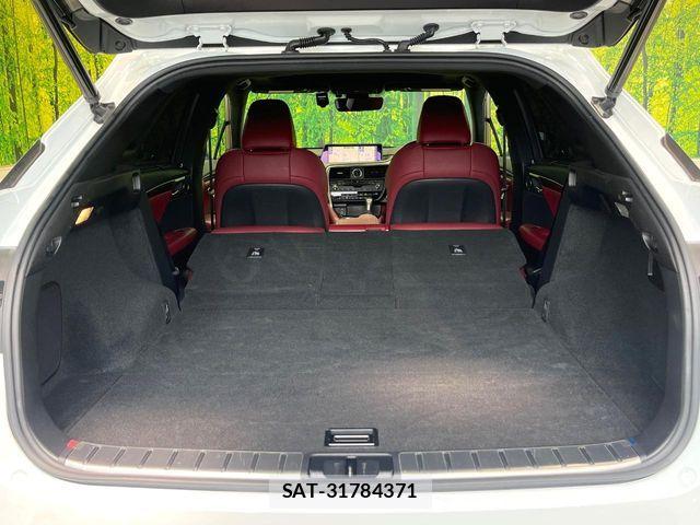 Lexus RX 2017-03 8830029-9