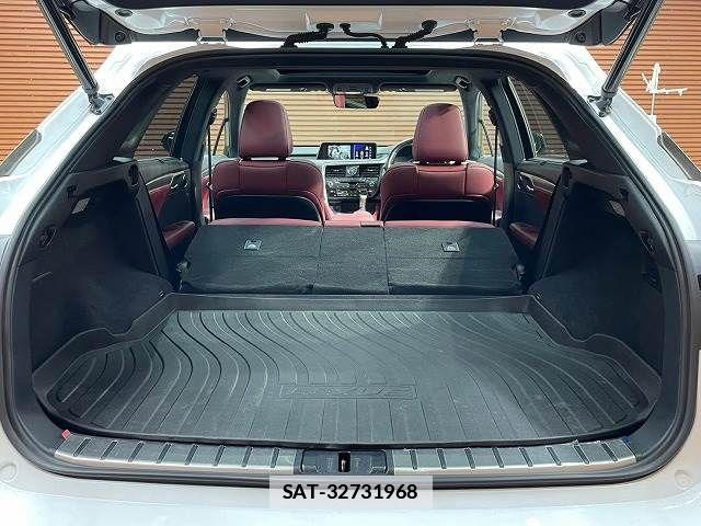 Lexus RX 2017-03 813822-19