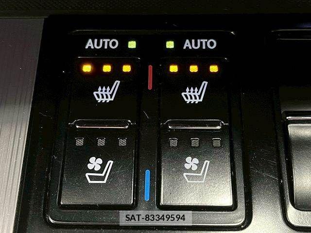 Lexus RX 2016-10 3907236-10
