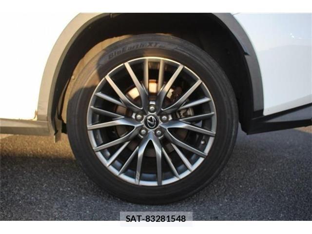 Lexus RX 2016-03 4044769-16
