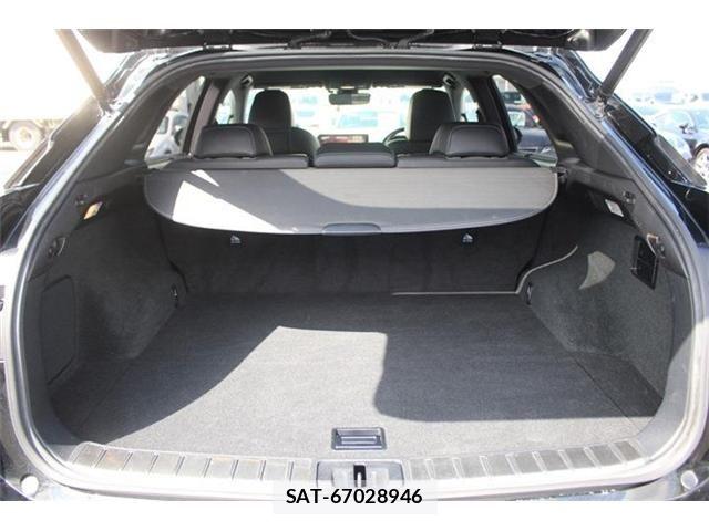 Lexus RX 2016-03 5871164-28