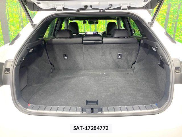 Lexus RX 2016-04 7251358-9