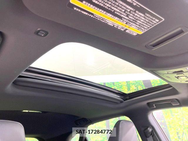 Lexus RX 2016-04 7251358-2