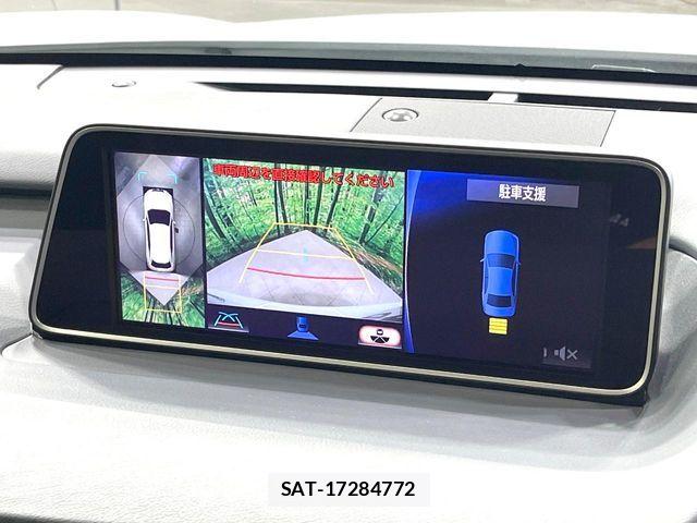 Lexus RX 2016-04 7251358-4