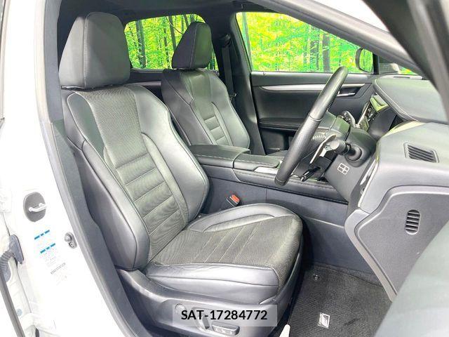 Lexus RX 2016-04 7251358-7