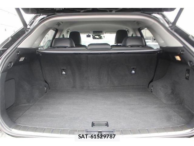 Lexus RX 2016-06 7328084-29