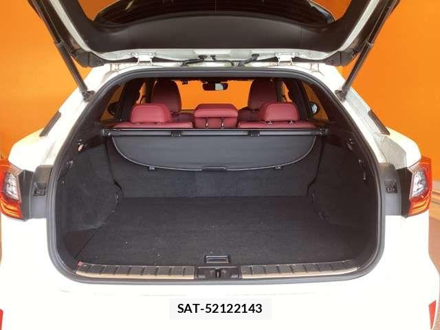 Lexus RX 2016-06 7501321-19
