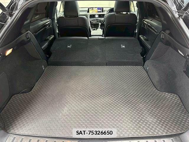Lexus RX 2017-05 7786629-11