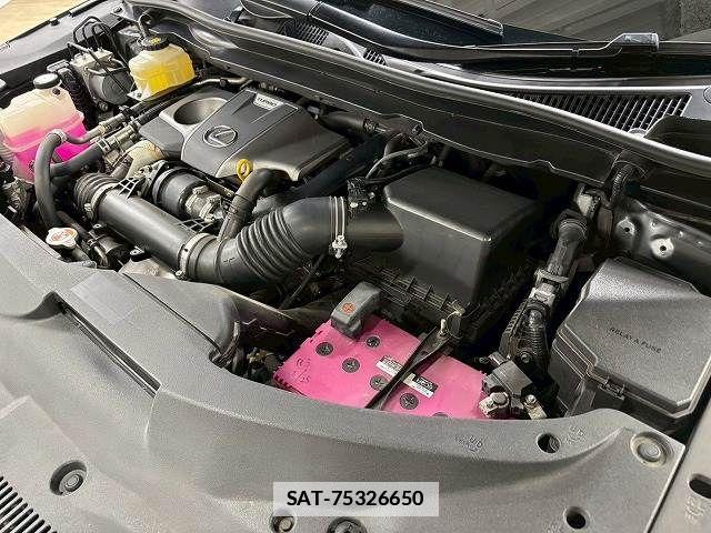 Lexus RX 2017-05 7786629-14