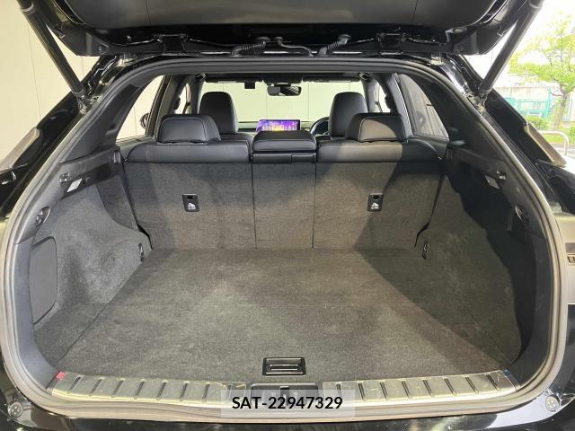 Lexus RX 2017-03 8336594-19
